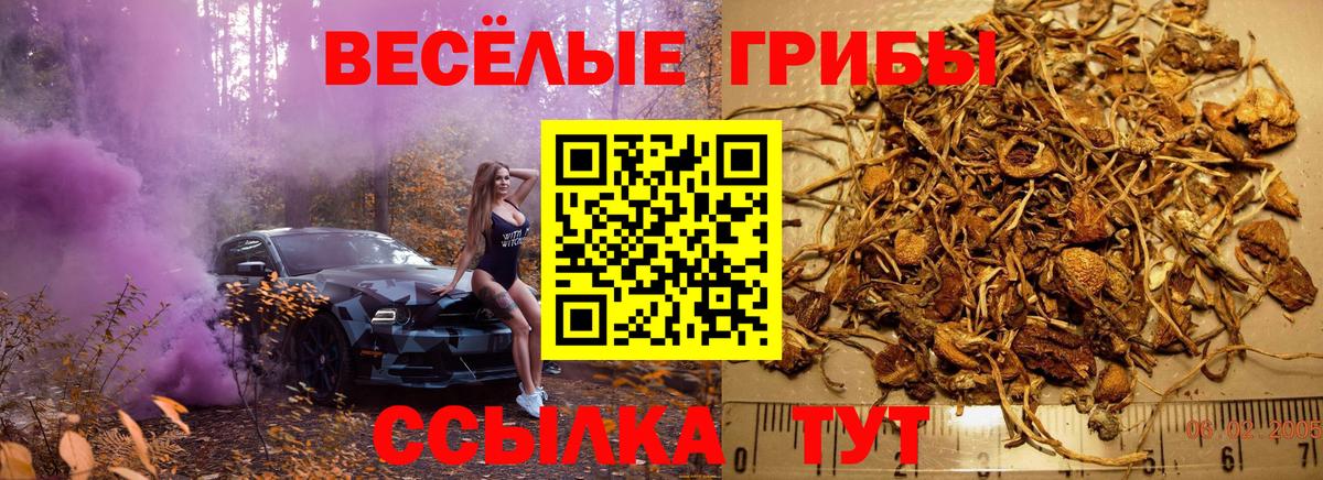Галлюциногенные грибы Psilocybe Ханты-Мансийск